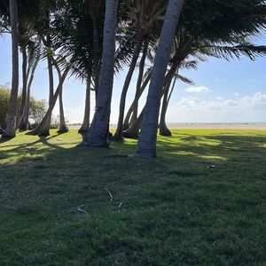 Meet your Posher, Katrina